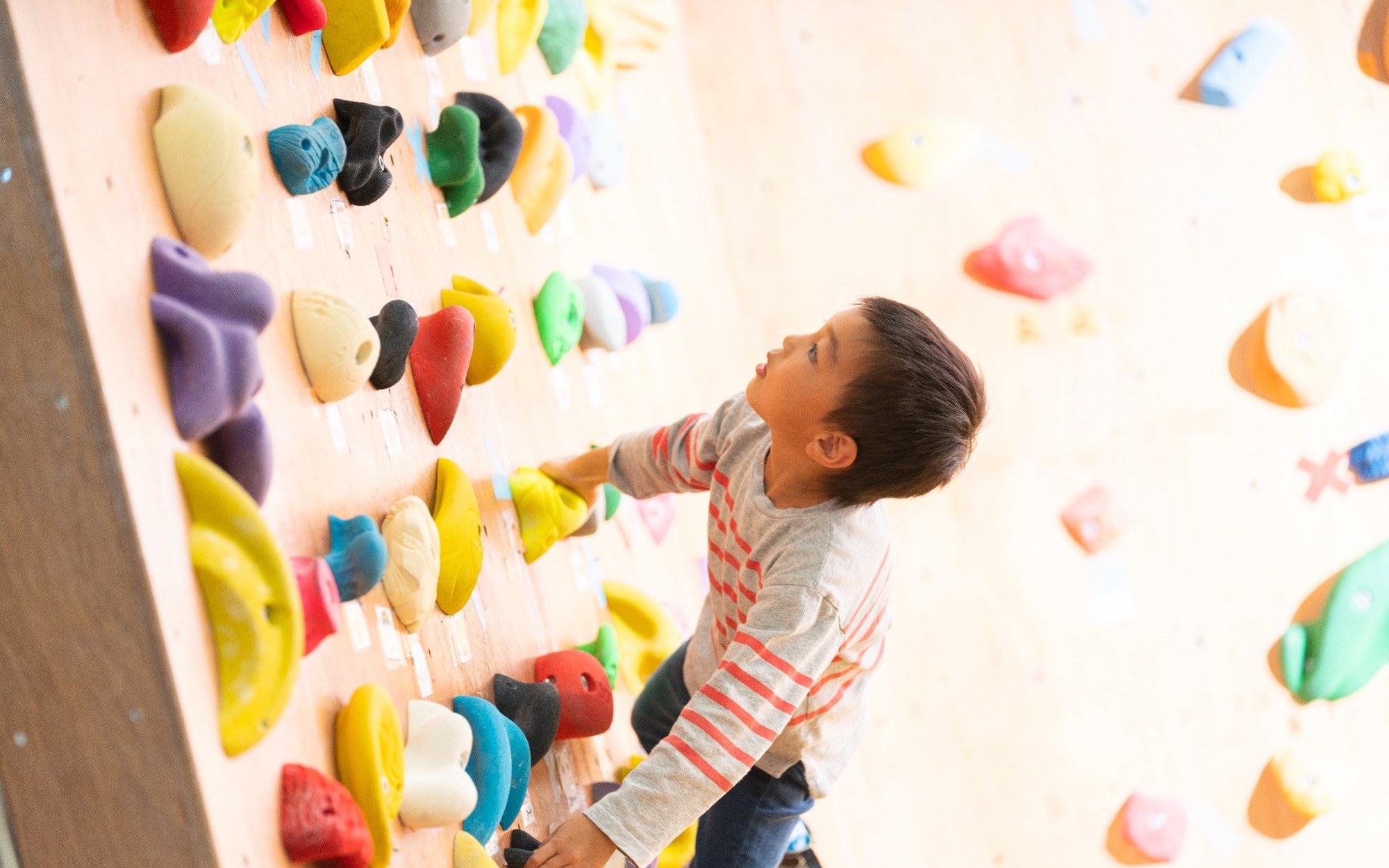 低い位置のホールドに挑戦する子ども